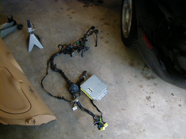 Wiring harness out of car